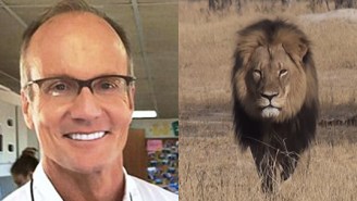 The Dentist Who Killed Cecil The Lion Surfaces And Regrets His Critics’ Lack Of ‘Humanity’