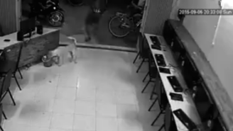 Jerk Gets What’s Coming To Him When He Tries To Kick A Dog