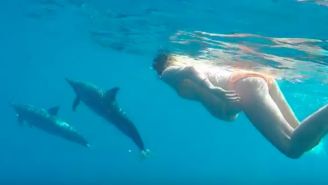 A Pregnant Woman Is Using A Dolphin As A Midwife For A British Documentary Series