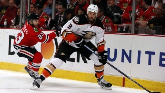 Why Ducks Defenseman Clayton Stoner Is Getting Charged For Killing A Grizzly Bear