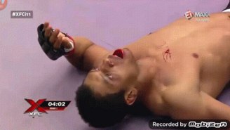 Check Out This Vicious MMA Knockout From A Fight In Brazil