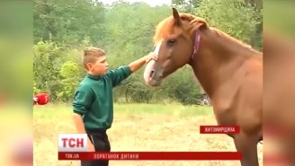 This 6-Year-Old Boy Had His Penis Chomped Off By His Pet Horse