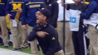 Please Enjoy This Clip Of Jim Harbaugh Freaking The Hell Out On A Ref