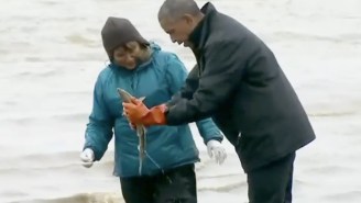 VIDEO: President Obama Was Ejaculated On By A Horny Salmon In Alaska
