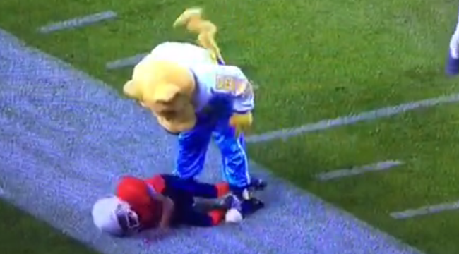 Watch The Denver Nuggets Mascot Annihilates A Young Football Kid