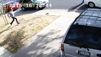 Watch An Attempted Package Thief Get The Perfect Comeuppance