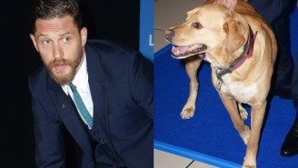 Tom Hardy Took His Adorable Dog To A Movie Premiere