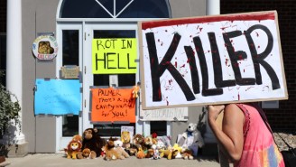 Walter Palmer Was Greeted With Stuffed Lions And Protestors As He Returned To Work