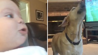 Watch This Baby Throw Down With These Two Dogs Having A Howling Competition
