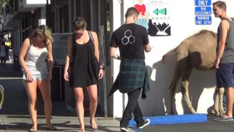 This ‘Camel Toe’ Prank Is So Pointlessly Simple, Yet Ridiculously Effective