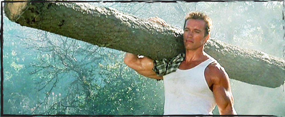 Arnold Schwarzenegger Commando Posters and Photos 102065 | Movie Store