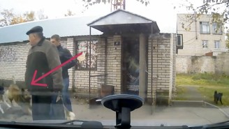 Meanwhile In Russia, Here Is A Dude Getting Taken Out By A Pack Of Stray Dogs