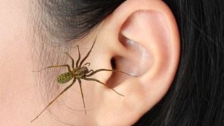 A Woman Heard A Scratching Noise In Her Ear And It Turned Out To Be A Spider Building A Web