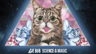 The Internet-Famous Cat Lil Bub Is Releasing A ‘Concept Album’ Called ‘Science & Magic’