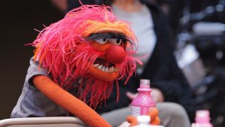 Morning TV Round-Up: ‘The Muppets,’ ‘The Grinder’ & ‘The Flash’ reviews