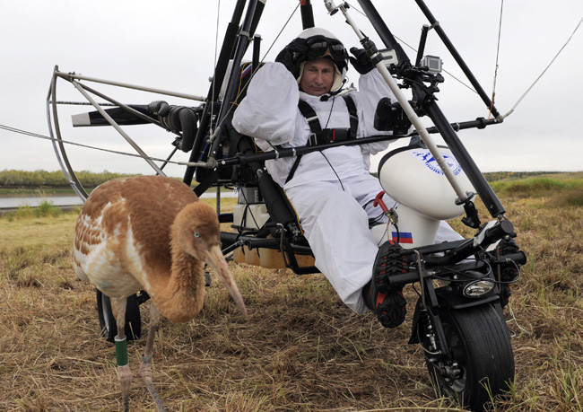 RUSSIA-PUTIN-CRANES