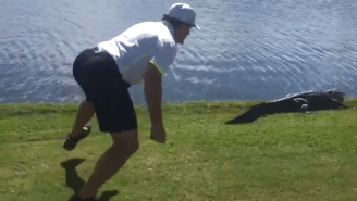 Behold: Jeremy Roenick Trying To Wrestle An Alligator On A Golf Course