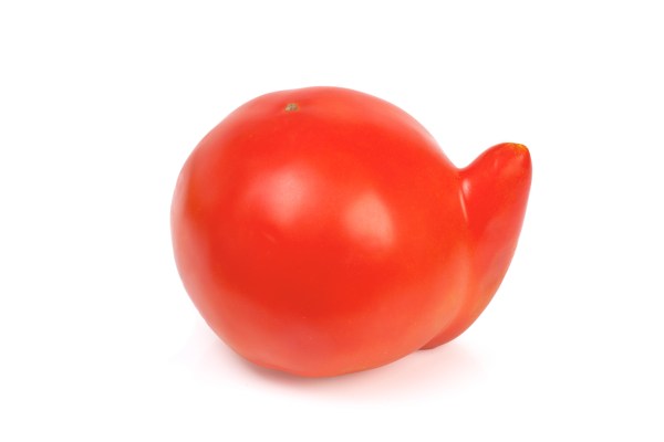"Is that an upside down comma or a tomato? I'm not eating it!"