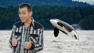 Steve-O Is Headed To Jail For His Sea World Stunt, But Seems Pretty Happy About It