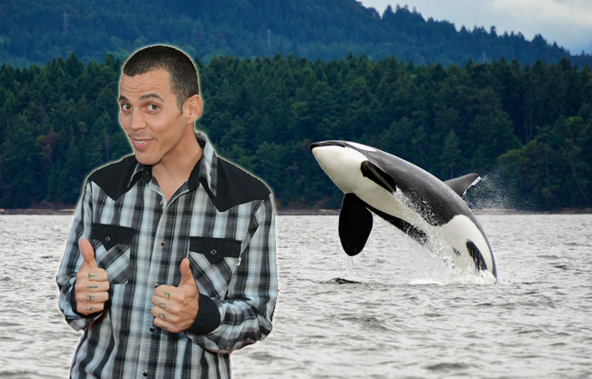 Steve O Gets Jail Time For His Sea World Stunt
