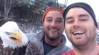 Two Brothers And A Bald Eagle Brought The Universal Selfie To An Ultimate Crescendo