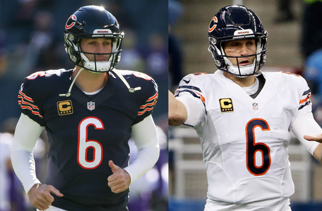 Bears