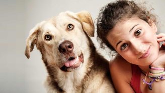 This Site Matches You With The Perfect Dog, Match.com Style