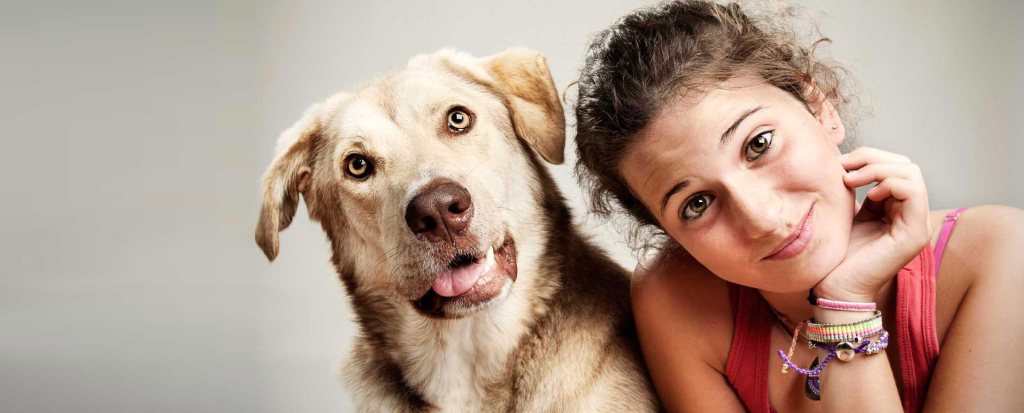This Site Matches You With the Perfect Pet, Match.com Style