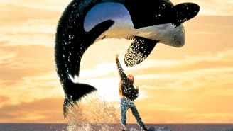 Sea World Is Halting Orca Shows In San Diego — Is It Enough?