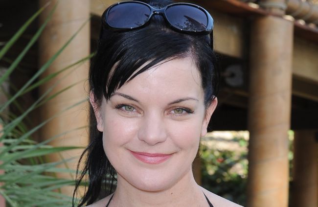 Pauley Perrette