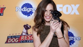 What’s On Tonight: ‘2 Broke Girls’ And Hilary Swank’s Dog Adoption Special
