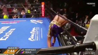 Watch This Boxer’s Spectacular Tumble Into The Ropes After A Brutal Punch