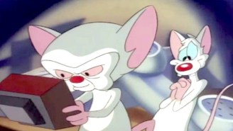 The ‘Monty Python’ Connection And Other ‘Pinky And The Brain’ Facts For You To Ponder