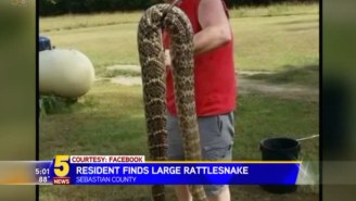 An Arkansas Man Caught A Terrifyingly Huge Rattlesnake