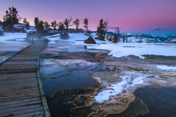 best time to visit yellowstone