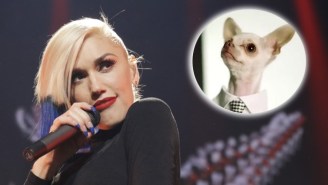 Gwen Stefani’s Fashion Empire Will Now Extend Into The Canine Fedora Realm