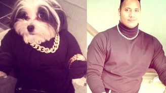 The Rock Shared Some Awesome Photos Of People (And A Dog) Dressed As Him On Halloween