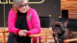 Forget The New ‘Star Wars’ Movie, Carrie Fisher’s Dog Is A True Internet Star