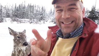 This Deaf Man Recorded The Heartwarming Aftermath Of Himself Saving A Young Deer From An Icy Death