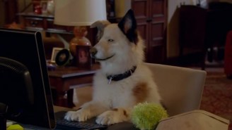 Seems Like There Aren’t Very Many Shows About Dogs With Blogs These Days