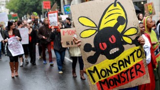 Will Monsanto’s ‘Ecocide’ Tribunal Deepen The Conversation Around GMOs?