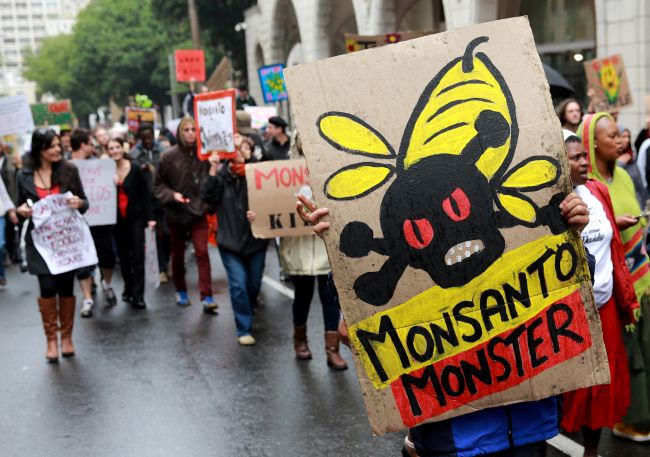 Monsanto Protest