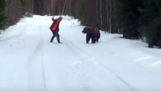 This Roaring Swedish Man Will Show You How To Fend Off A Bear Attack