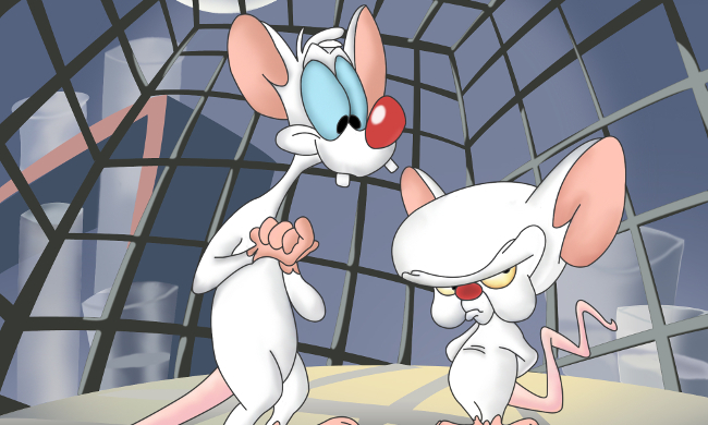 Pinky And The Brain': The Cartoon's Stars Discuss The Beloved Series