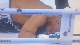 Watch 46-Year-Old Roy Jones, Jr. Get Knocked Out In Brutal Fashion