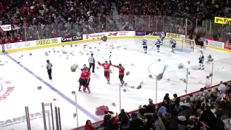 Watch Fans Throw 28,000 Teddy Bears On The Ice At A Junior Hockey Game