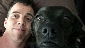 Steve-O Served Less Than Eight Hours Of Hard Time For His SeaWorld Stunt