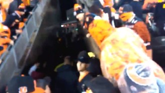 Things Got Ugly In The Stands At Paul Brown Stadium During Bengals-Steelers