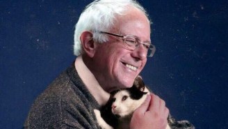 This Photoshop Of Bernie Sanders Holding A Cat Is Kind Of The Best