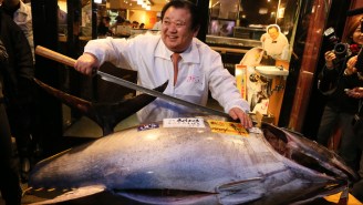 This Japanese Restaurant Just Paid Six-Digits For A Single Tuna, Which Isn’t A Great Sign For A Species In Decline
